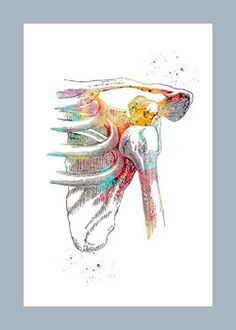 Melhorar a microcirculação nos tecidos articulares e musculares